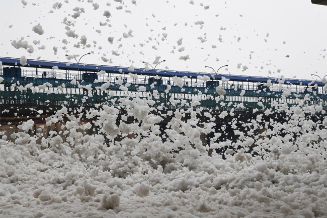 Toksik köpük Hindistan'ın kutsal Yamuna Nehri'ni kirletiyor